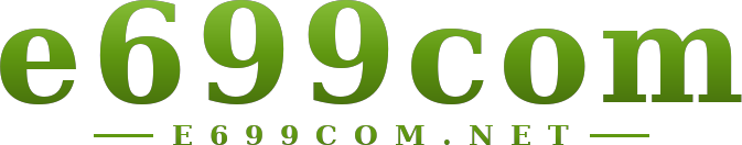 e699com โลโก้